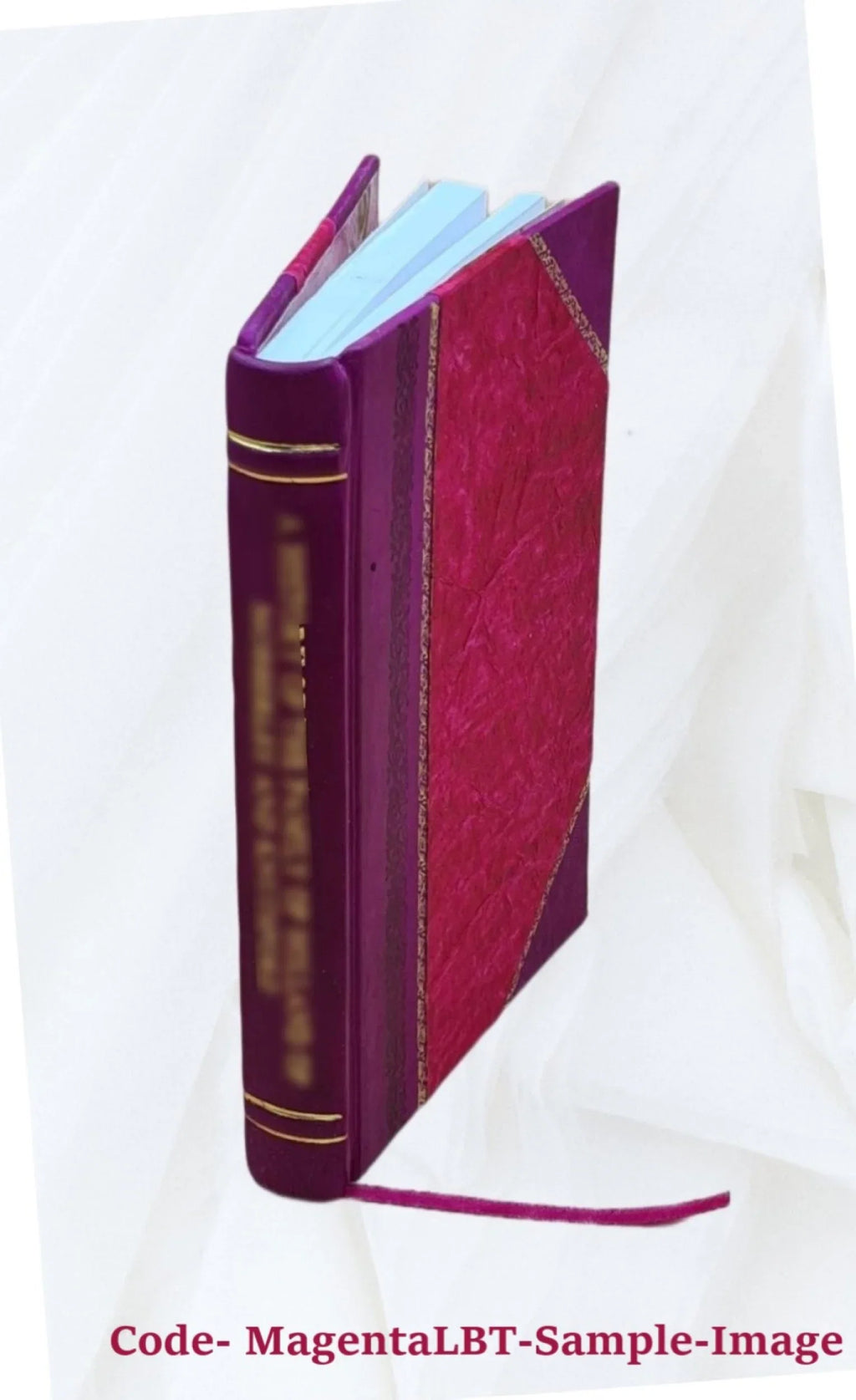 Guide du voyageur à Genève, autour du Lac et au bassin du Rhone supérieur ... 1874 [Leather Bound]