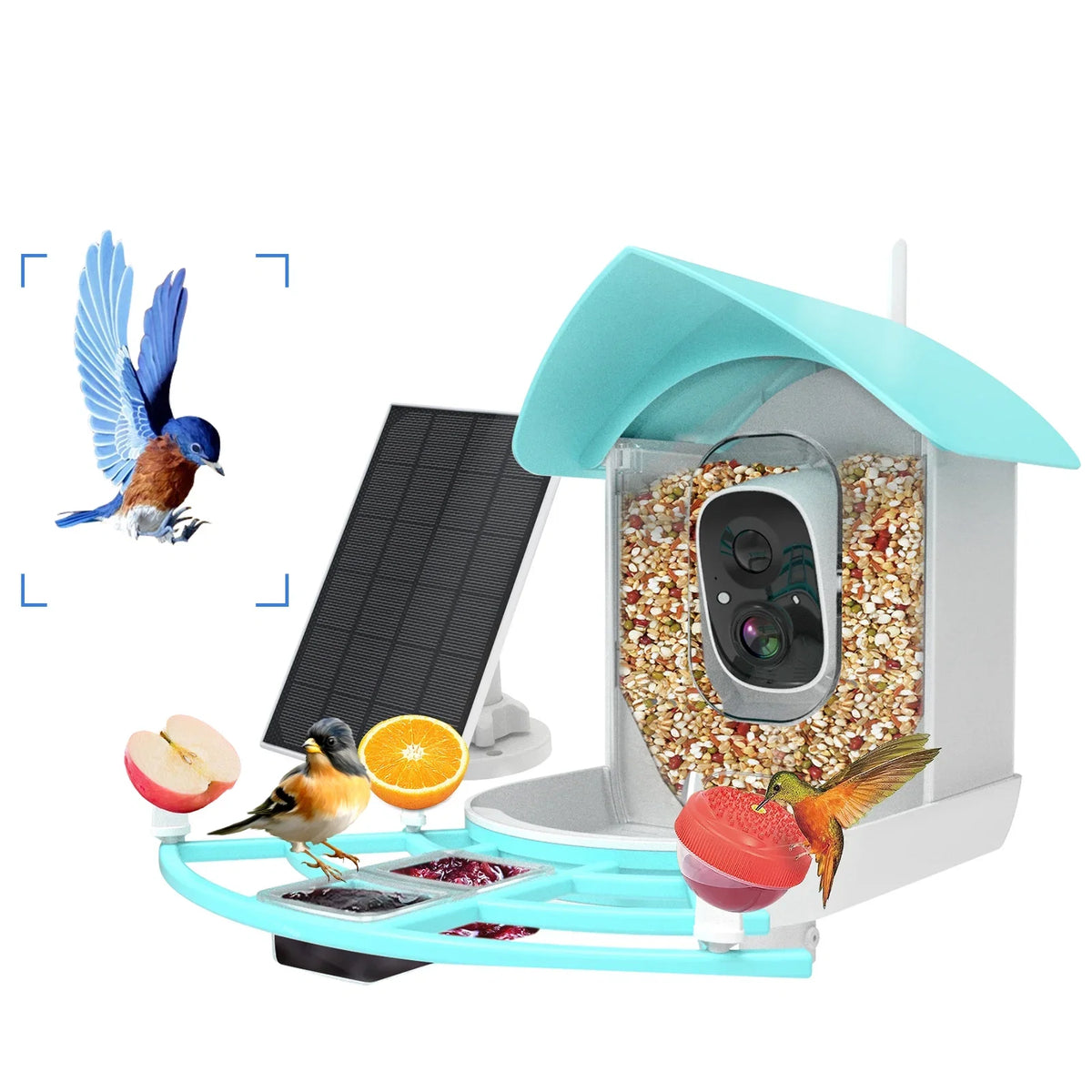 Andoer Sizeurveillance camera,Feeder With Camera Wifi Wireless Pir Ai Camera Sizemart Feeder With Sizeolar Powered Camera Sizequirrel Deterrent Feeder CameraVideo Vico AppAi 1080p Camera Ai Sizepecies