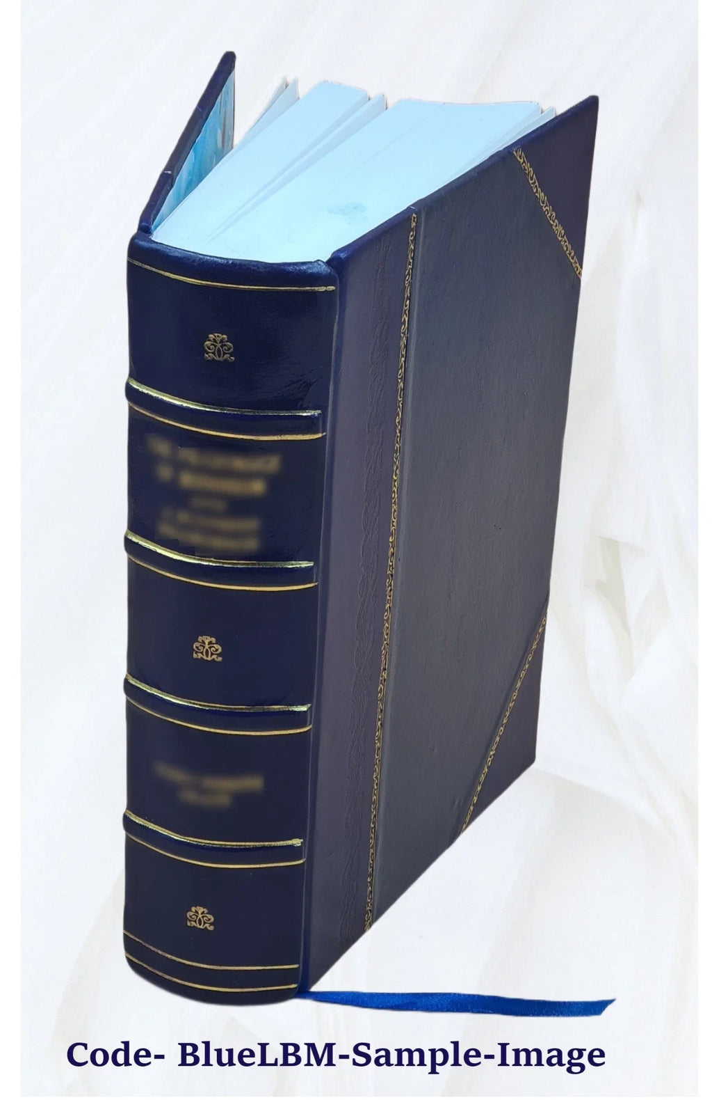 Le diocèse de Genève (partie de Sizeavoie) pendant la Révolution française Volume 1 1894 [Leather Bound]