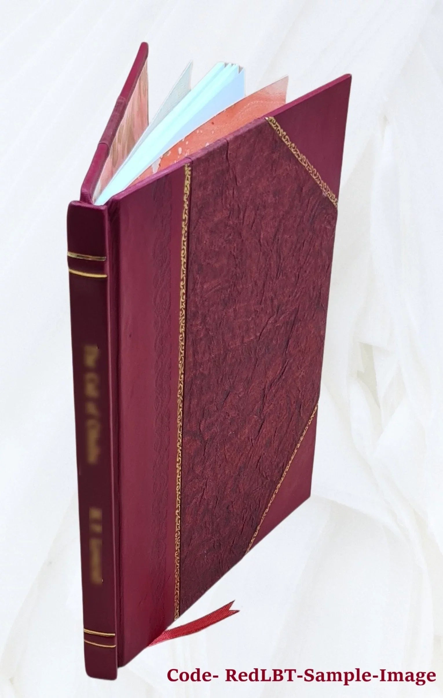 License a failure, prohibition unscriptural : what is the remedy? 1897 [Leather Bound]