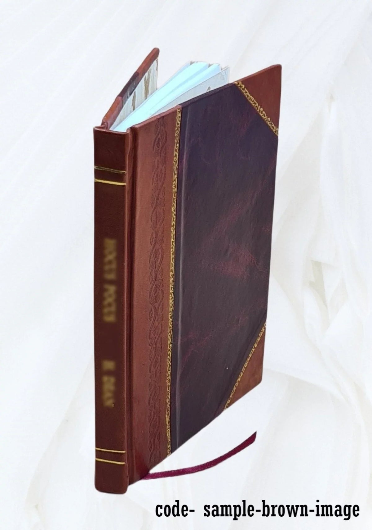 Camilla and Gertrude, and other poems 1884 [Leather Bound]