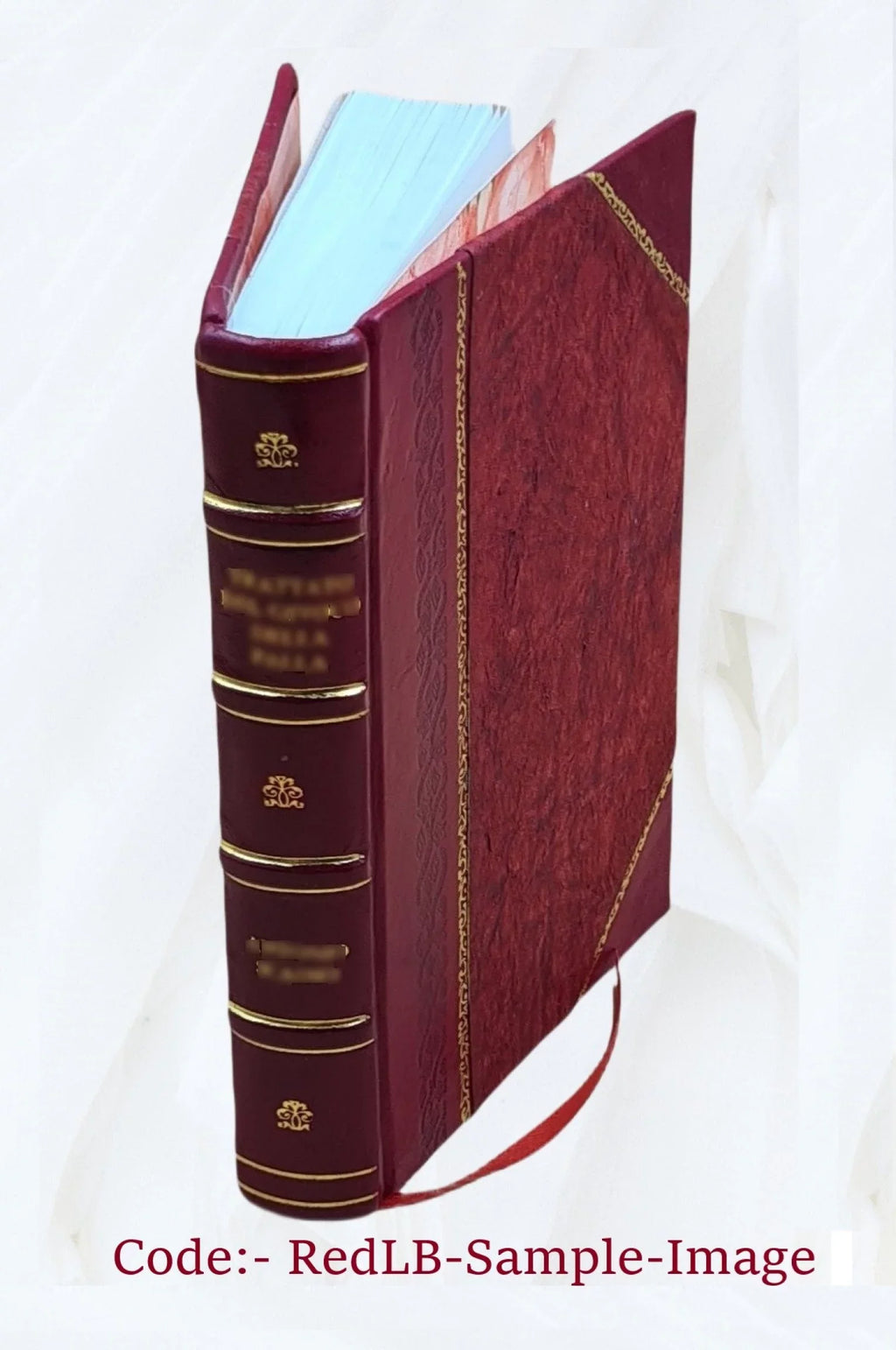 Ausgewählte Urkunden zur Erläuterung der Verfassungsgeschichte Deutschlands im Mittelalter. Zum Handgebrauch für Juristen und Historiker. Hrsg. von Wilh. Altmann und Ernst Bernheim. 1904 [Leather B