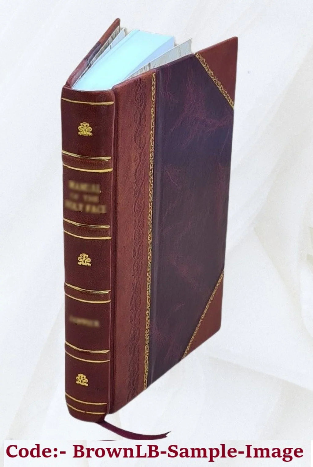 Memoirs of Lydia Tongue-pad and Juliana Clack-it. 1768 [Leather Bound]