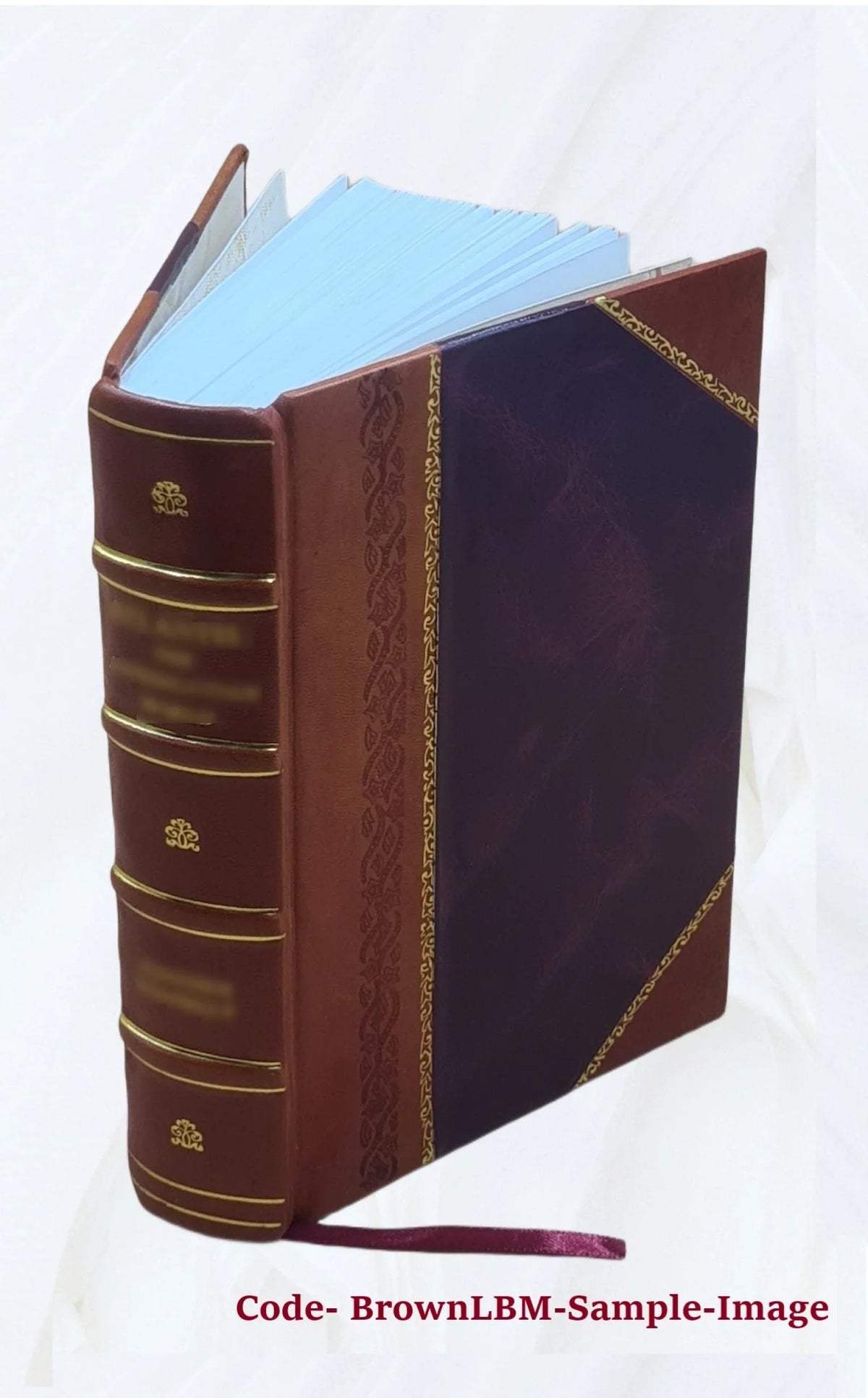Le diocèse de Genève (partie de Sizeavoie) pendant la Révolution française Volume 1 1894 [Leather Bound]